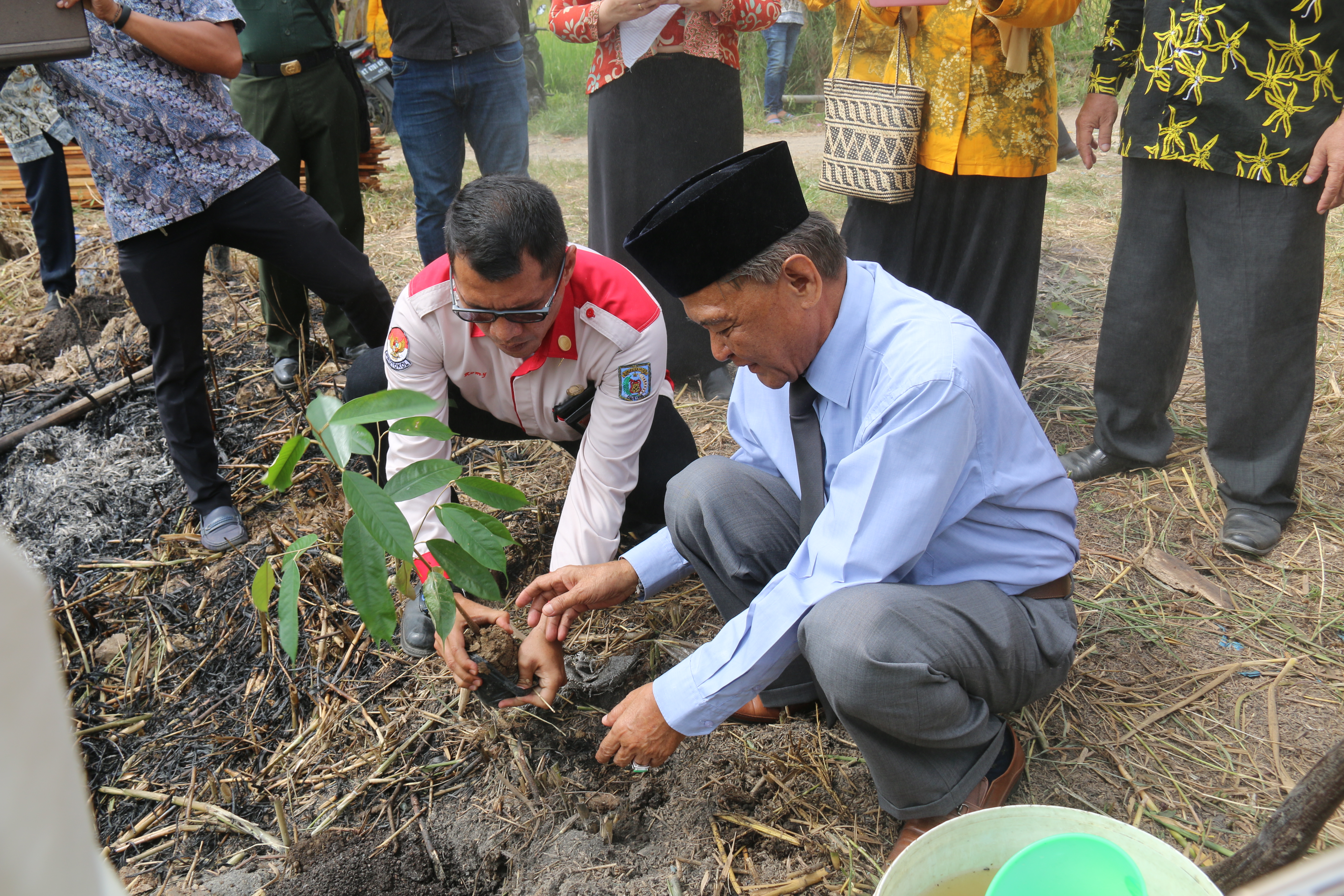 Tanam Pohon, Kaharuddin Ajak Masyarakat Memelihara Pohon yang Ditanam