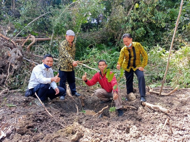 Bibit Ulin & Durian Ditanam Kawasan Gunung DAR Hutan Adat Modang