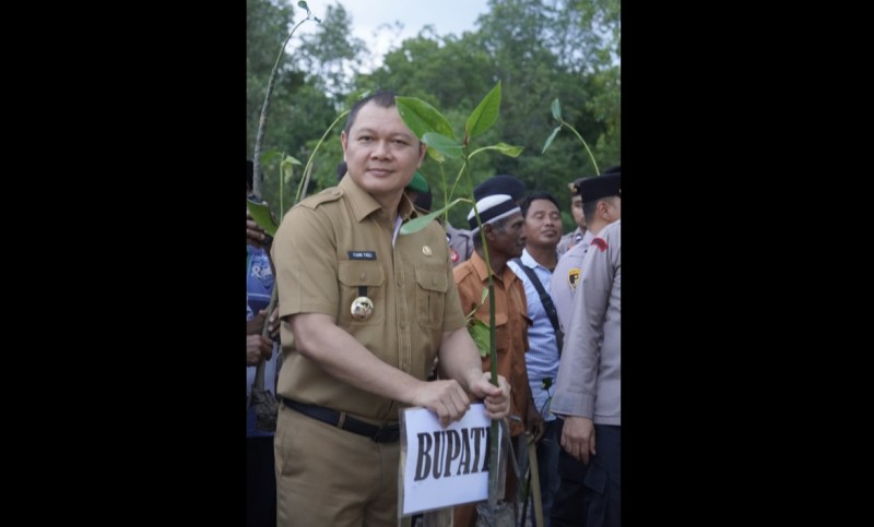 Penanaman Mangrove Serentak se Indonesia bersama TNI,  Bupati Paser Tanam di Desa Pasir Mayang 