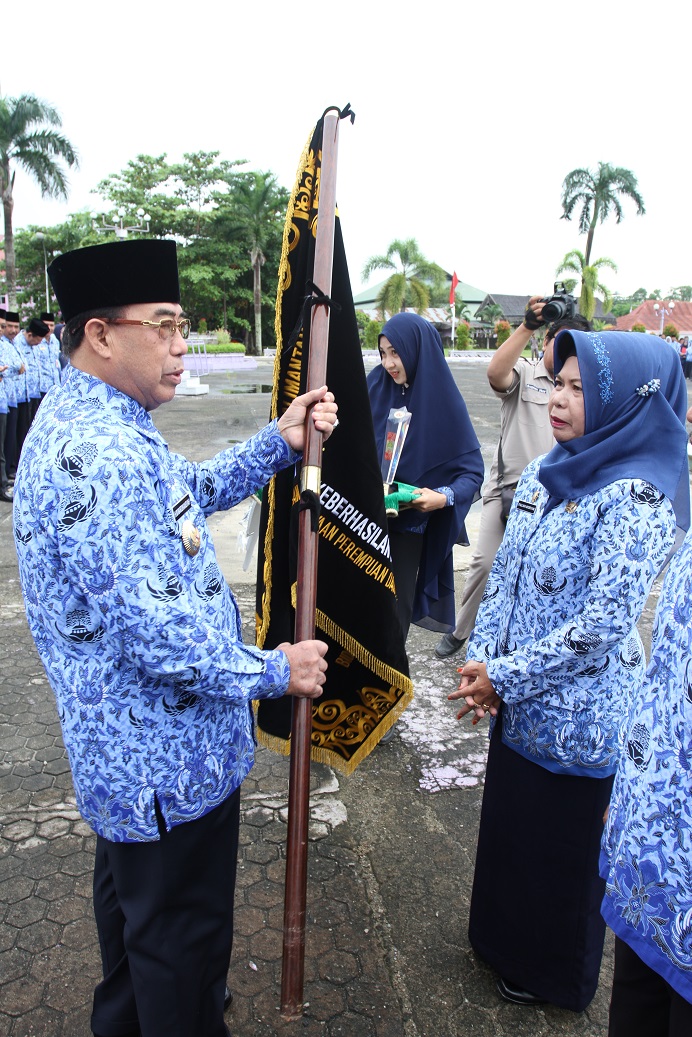 Wabup Serahkan Panji dan Mobil Perlindungan Perempuan dan Anak
