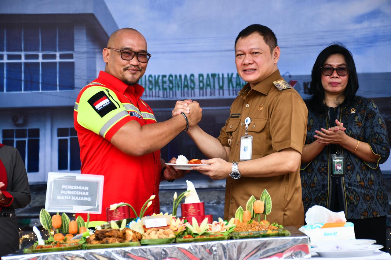 Pembangunan Puskesmas Batu Sopang, Bentuk Langkah Nyata Pembangunan Bidang Kesehatan