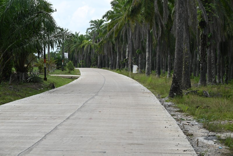 Jalan Modang - Pasir Mayang Akan dituntaskan di tahun 2024