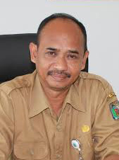 Ir. Amiruddin Ahmad, M.AP